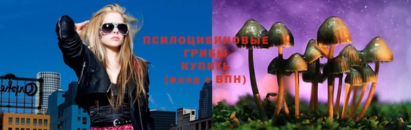 apvp Алексин