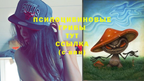 apvp Алексин