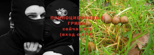 apvp Алексин